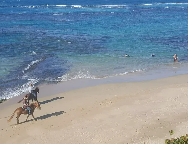 Villas de Costa Dorada Isabela hotel detail image 2