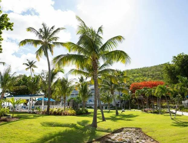 Limetree Beach Resort by Club Wyndham hotel detail image 1