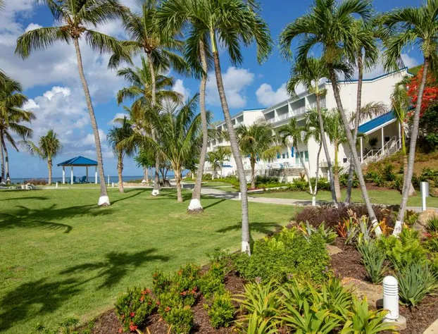 Limetree Beach Resort by Club Wyndham hotel detail image 2