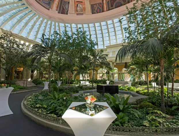 Iberostar Grand Hotel Paraiso hotel detail image 2