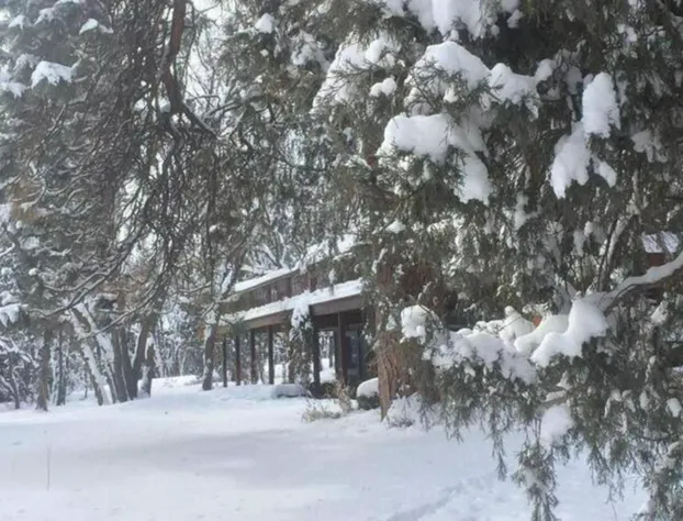 Country Sunshine Bed and Breakfast hotel detail image 1