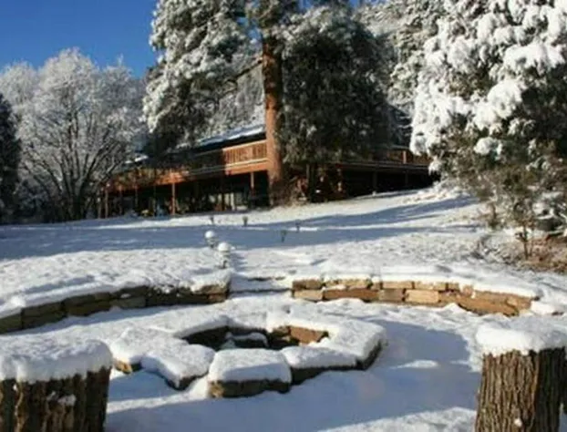 Country Sunshine Bed and Breakfast hotel detail image 2