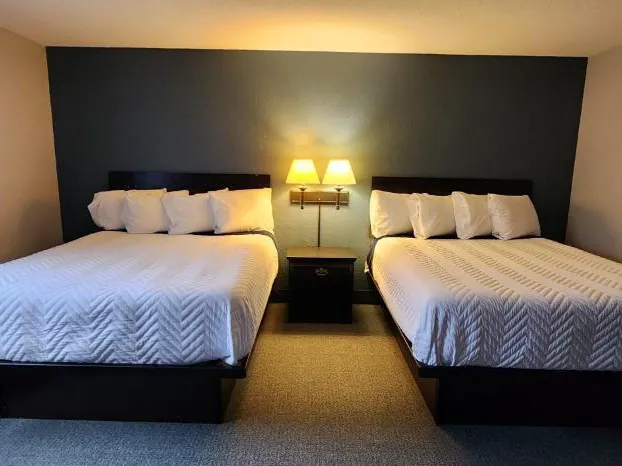 The Oasis Hotel & Bar hotel detail image 4