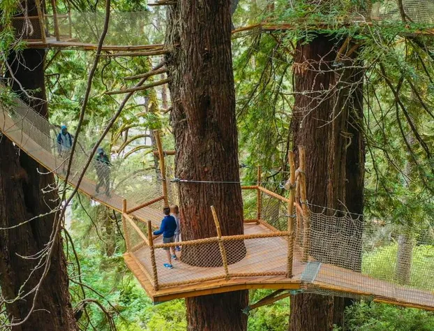 Patrick Creek Lodge hotel detail image 4