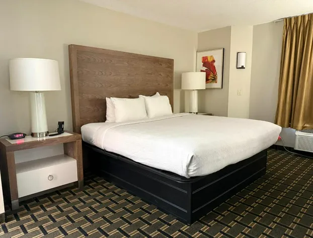 Edn Hotel hotel detail image 2