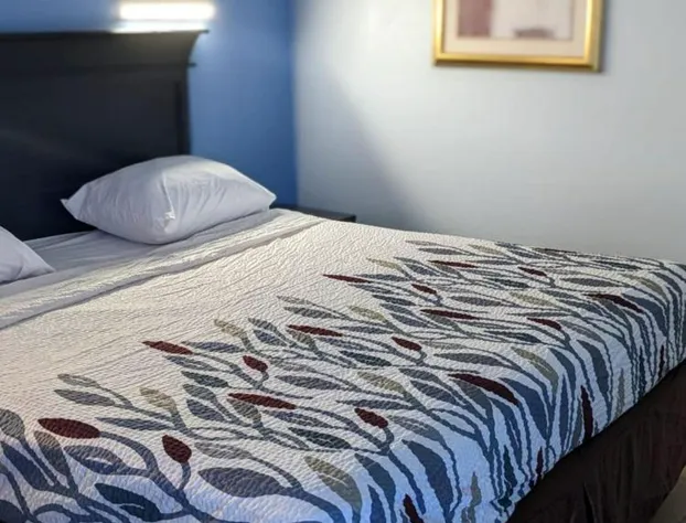 Budget Inn Alexandria hotel detail image 1