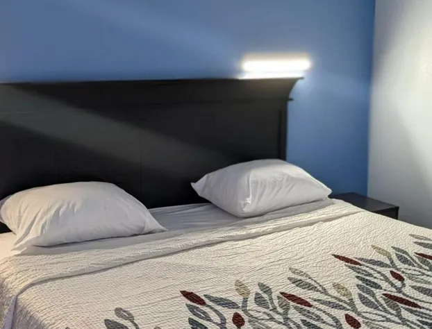 Budget Inn Alexandria hotel detail image 2