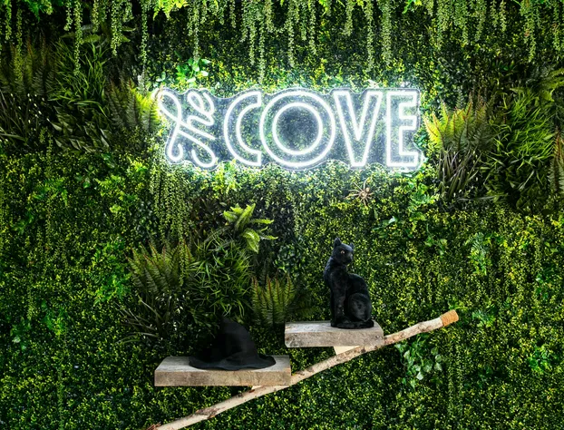 The Cove At Salem hotel detail image 4