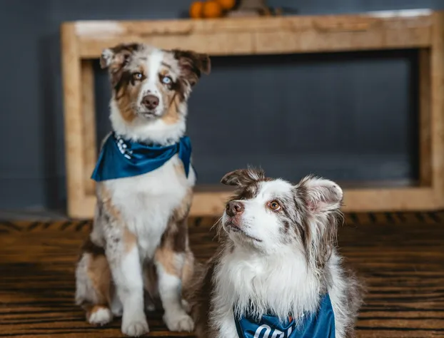 Origin Baton Rouge, a Wyndham Hotel hotel detail image 4