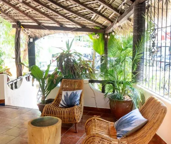 Le Petit Puerto Escondido hotel detail image 2
