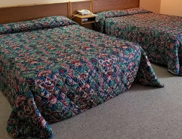 Los Tres Gallos hotel detail image 3