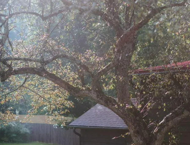 The Leeway hotel detail image 3