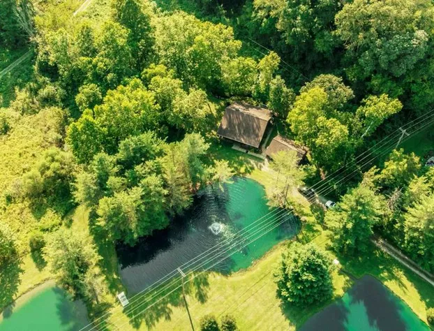 Fishing Lodge! 4 Queens 6 Twins 8 acres 3 Stocked Ponds Hot Tub Arcade hotel detail image 1