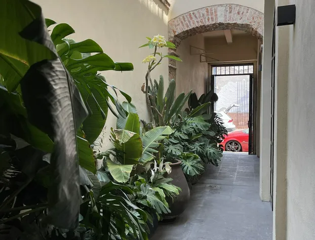 Casa Realm hotel detail image 1