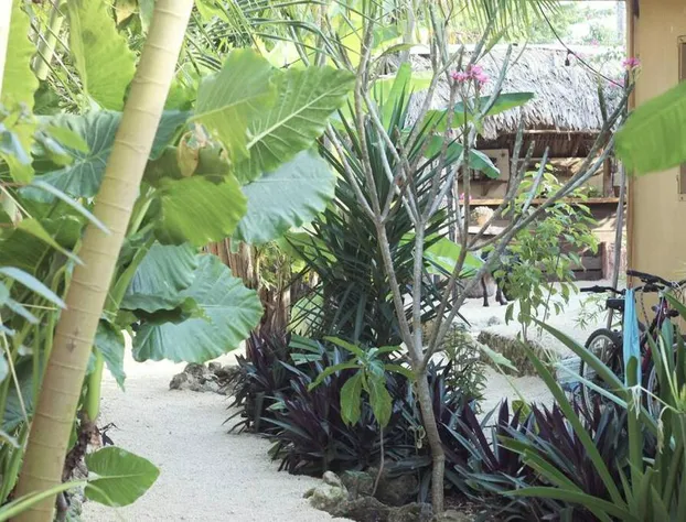 Jungla Bacalar hotel detail image 4