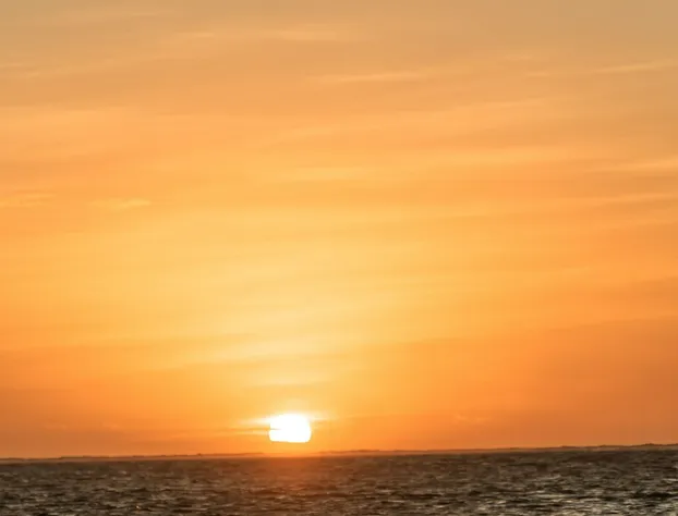 Xcalak paradise Hotel hotel detail image 4