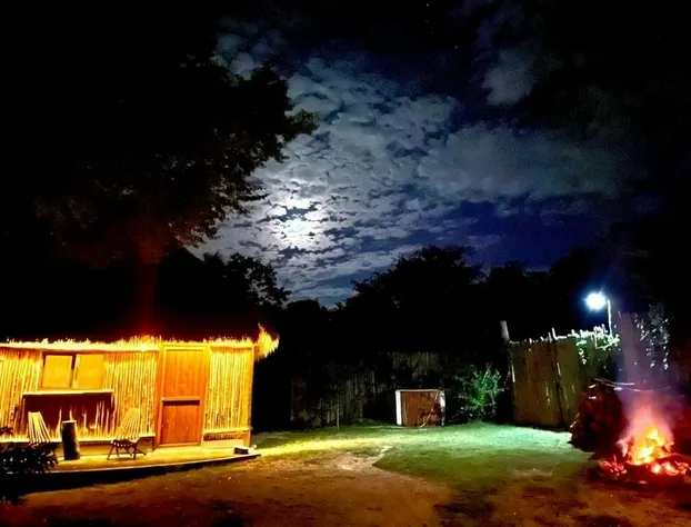 Tulum Nueve hotel detail image 2