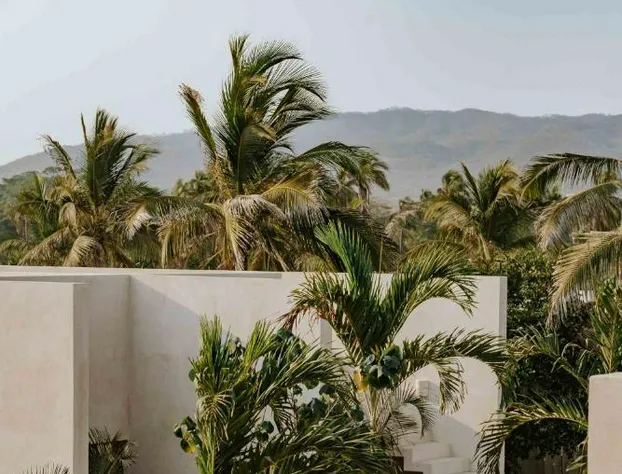 Casa Yuma, Puerto Escondido - Adults Only hotel detail image 4