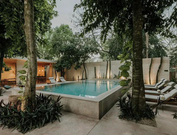 Cedros Hotel Boutique hotel detail image 3