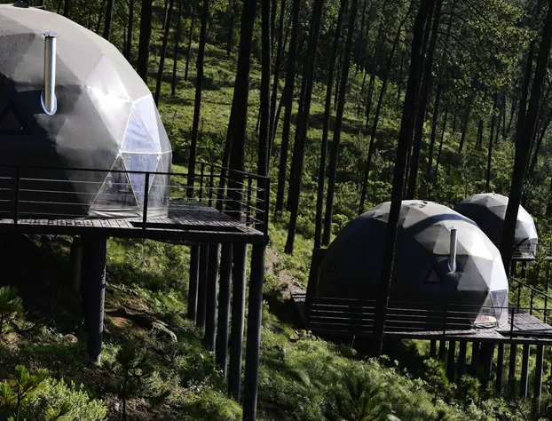 lobo glamp hotel detail image 2