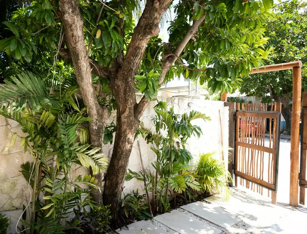 Yax Kiin Casa Boutique hotel detail image 2