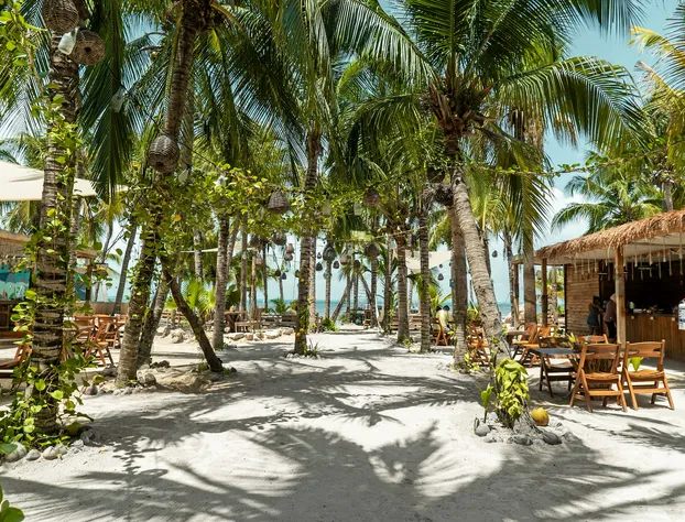 Enigmatic Beach Hotel hotel detail image 1