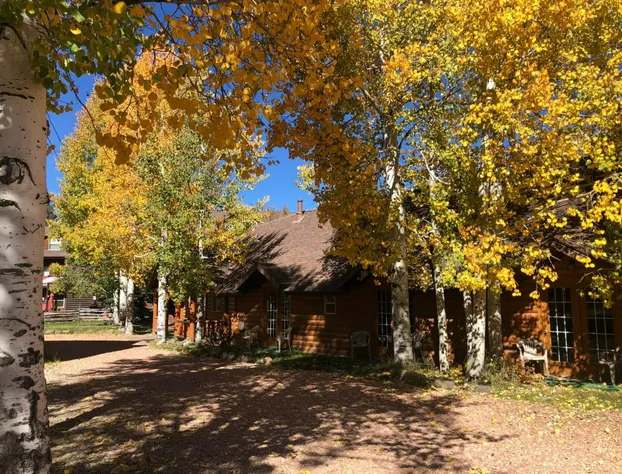 Alpine Forest Lodge hotel detail image 1