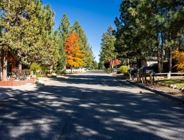 The Lilac Lodge The Ultimate Getaway! hotel detail image 4