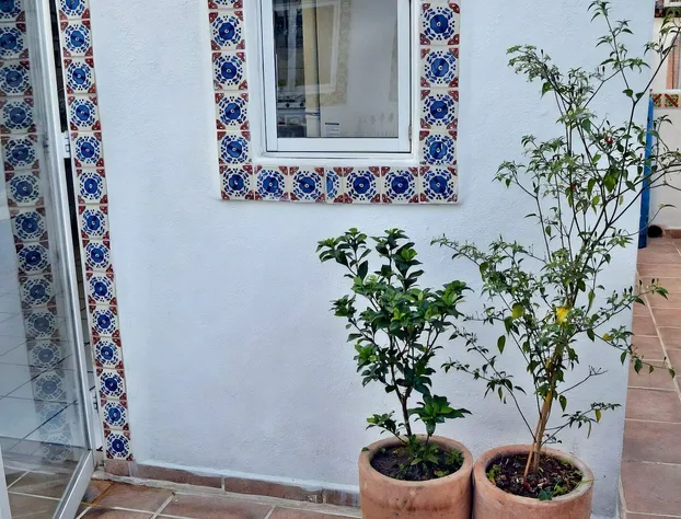 Alexandross Hostel b&b hotel detail image 2