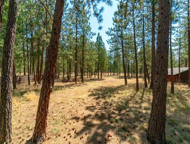 Juniper and Pine - A High Desert Lodge hotel detail image 4