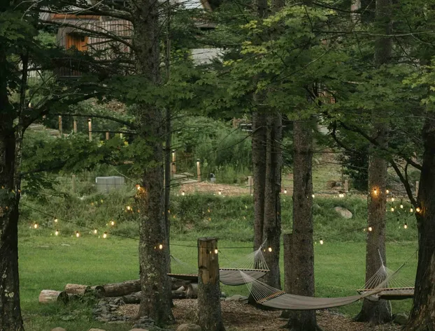 Eastwind Oliverea Valley hotel detail image 4