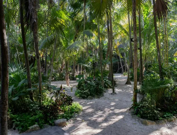 UMi Tulum hotel detail image 1