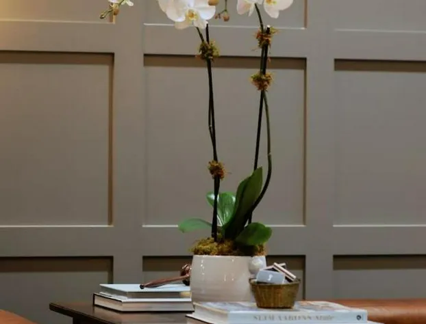 The Thomas Hotel - Garden Suite 2-Bedroom - 01 hotel detail image 4