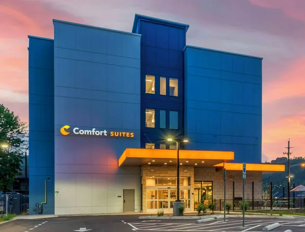 Comfort Suites Gatlinburg Downtown-Convention Center hotel detail image 2