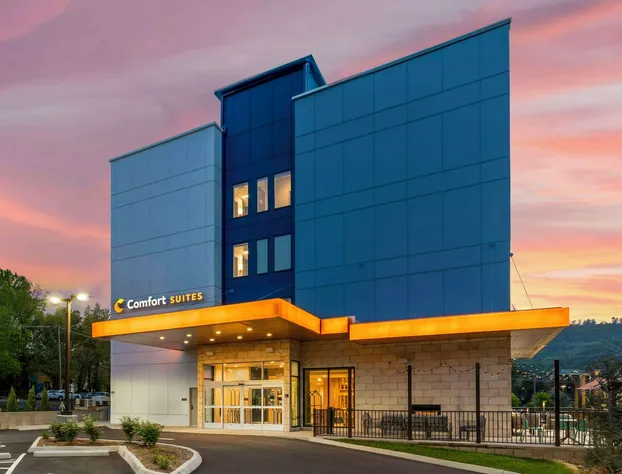 Comfort Suites Gatlinburg Downtown-Convention Center hotel detail image 3