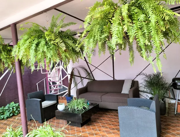 Casa Maguey hotel detail image 2