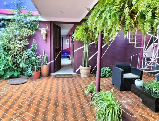 Casa Maguey hotel detail image 3