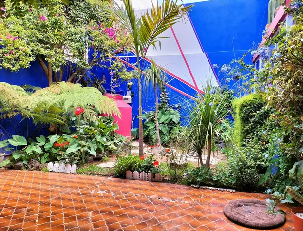 Casa Maguey hotel detail image 4