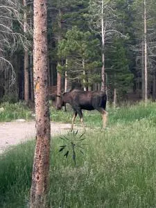 Little Gem Lodge Unique Mtn A-Frame w Hot Tub hotel detail image 2