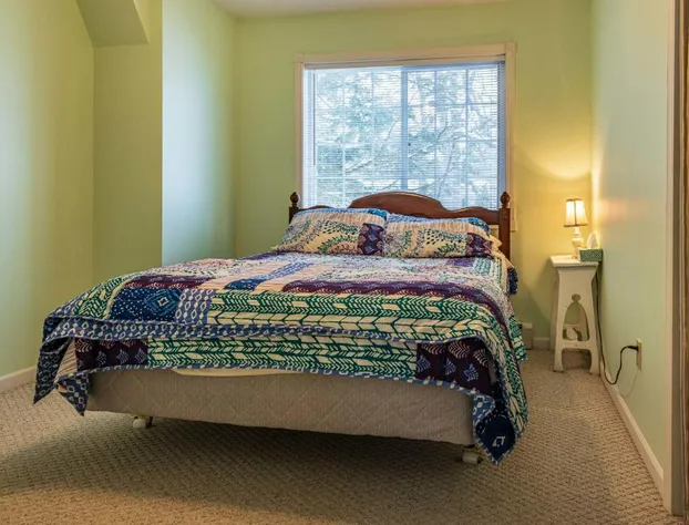 Lake Manistee Lodge Ski & Snowmobile Hideout hotel detail image 4