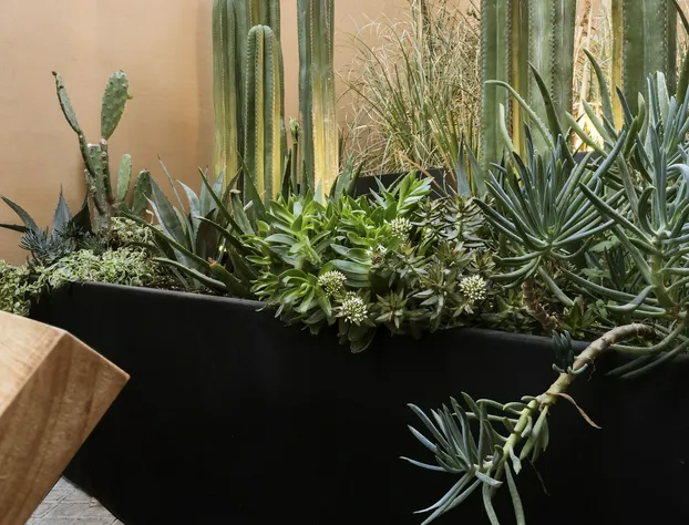 Macondo Arte Oaxaca hotel detail image 4