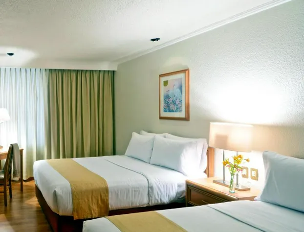 Hotel Plaza Florencia hotel detail image 4