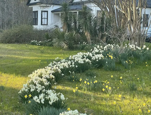 Adelines Bed and Breakfast hotel detail image 2