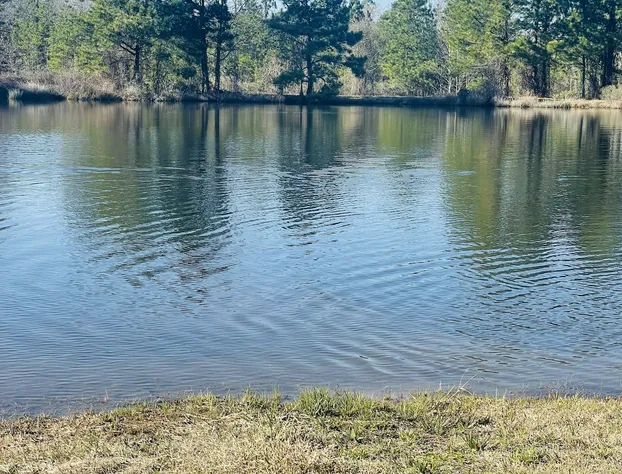 Adelines Bed and Breakfast hotel detail image 4