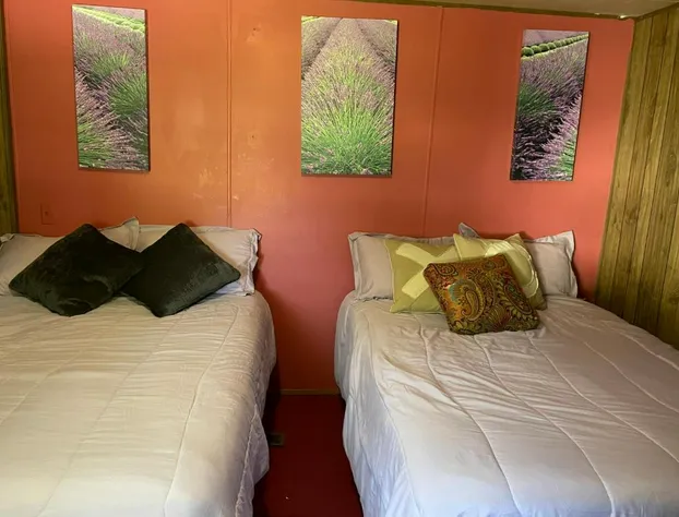 Air b/b lodge hotel detail image 2