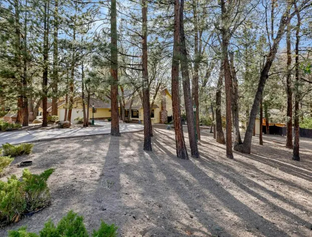 2030-Bearfoot Lodge home hotel detail image 1