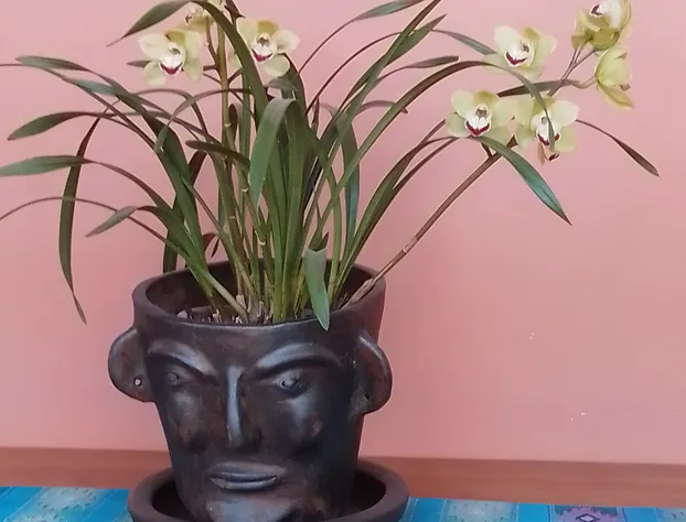 La Casa B & B hotel detail image 1