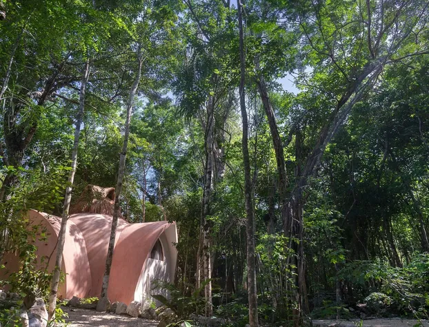 Room-unique Jungle Dome Ik hotel detail image 1