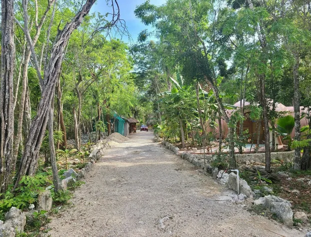 Room-unique Jungle Dome Ik hotel detail image 3
