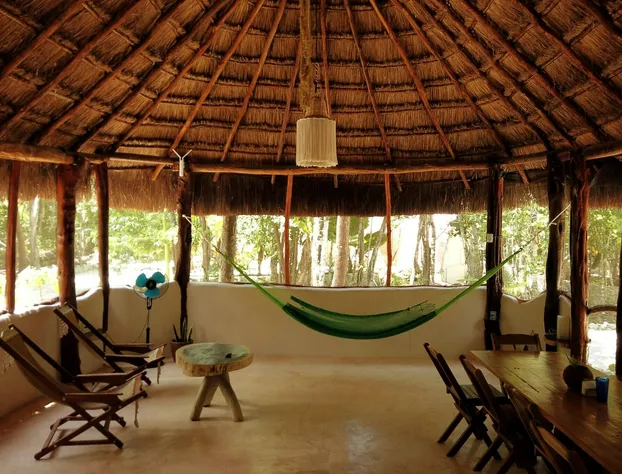 Room-unique Jungle Dome Ik hotel detail image 4